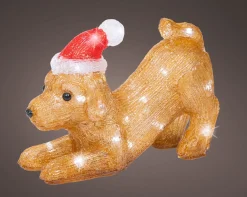 Led hond acryl steady|ohgreen Best