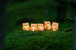 Lichtsnoer 5 acryl uilen 5m 40led warmwit voor buiten|ohgreen Sale