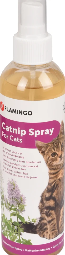 Lokstof premium care derek  catnip oranje|ohgreen Best