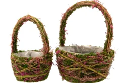 Mand|ohgreen Discount