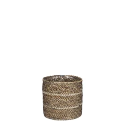 Mand celestial|ohgreen