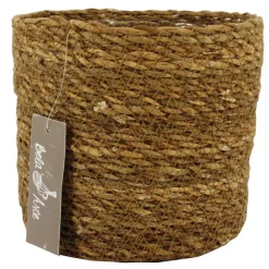 Mand chennai|ohgreen Hot