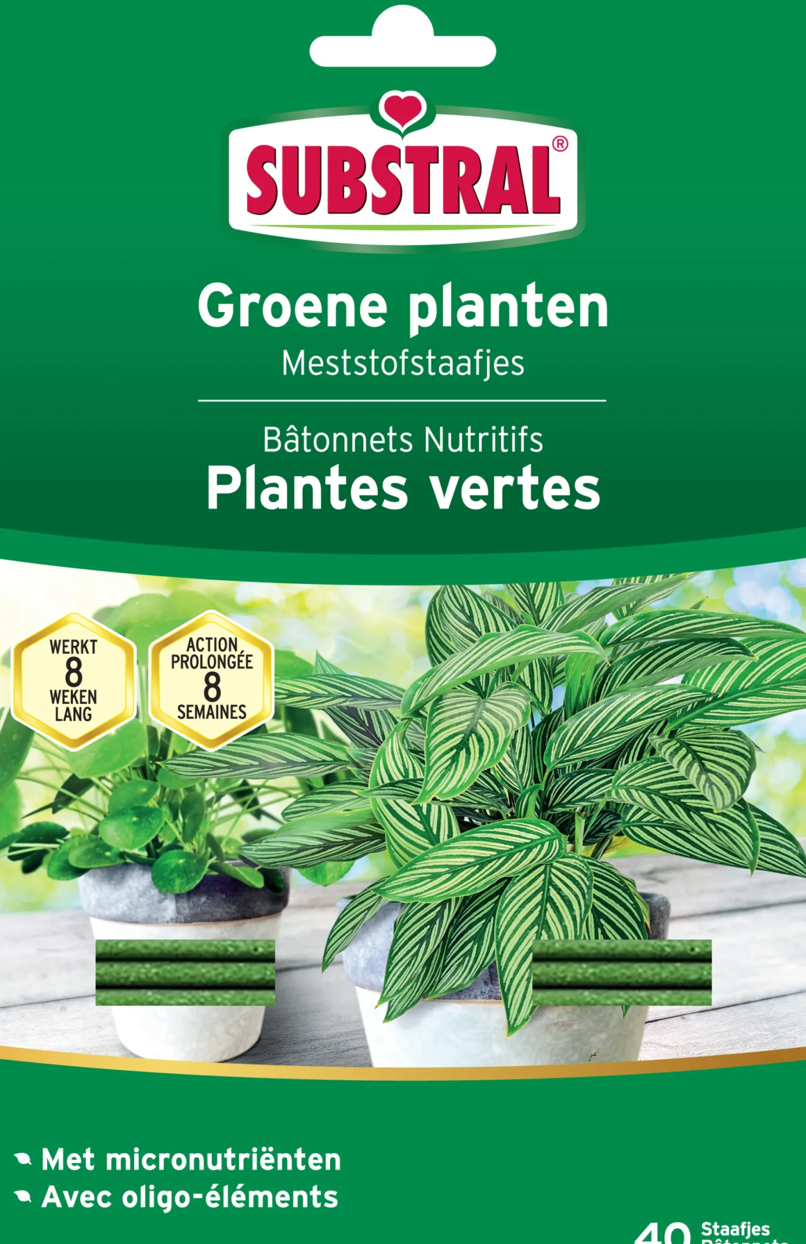 Meststofstaafjes voor groene planten 40 stuks|ohgreen Sale