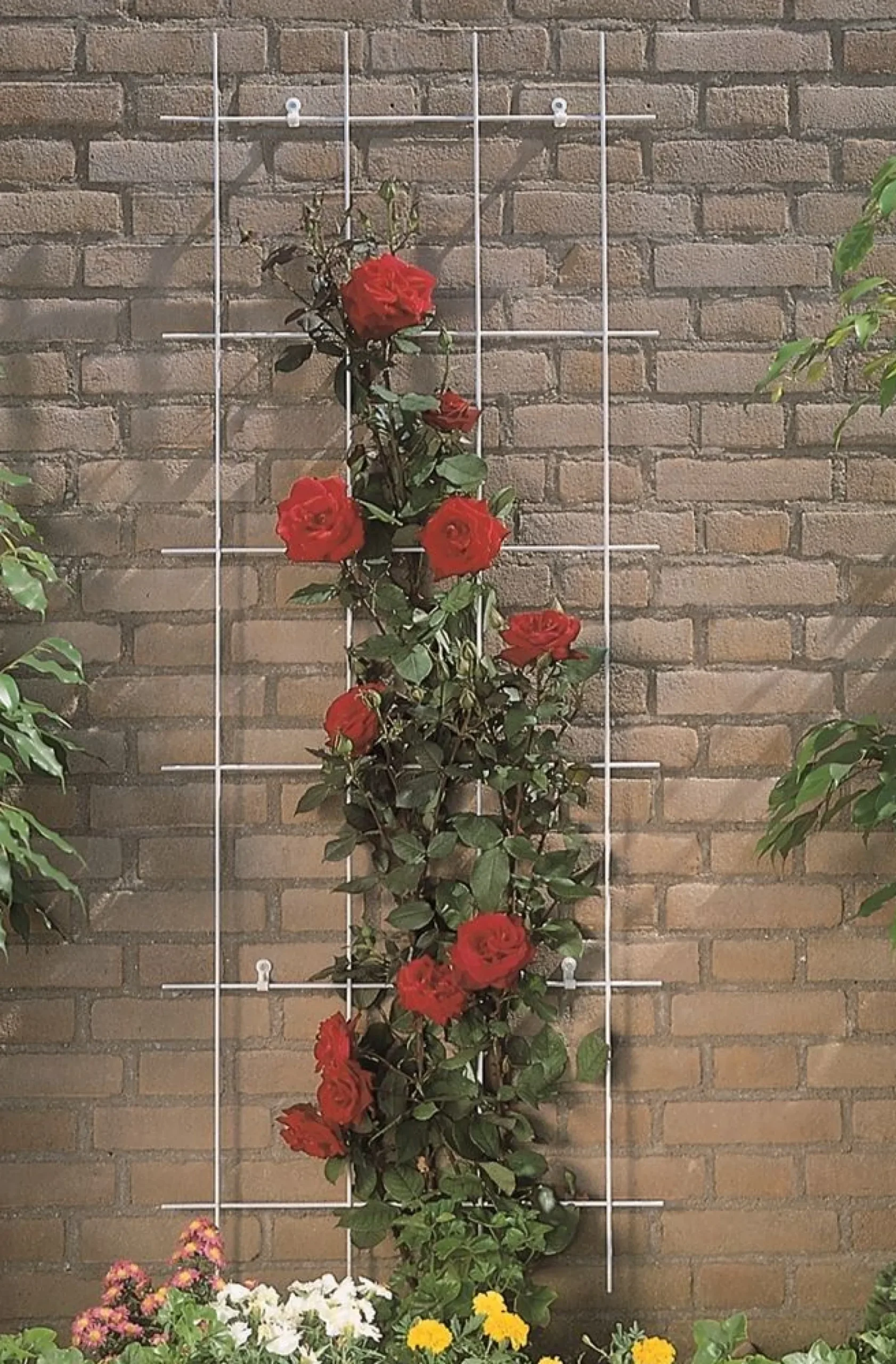 Metalen klimrek groen|ohgreen Hot