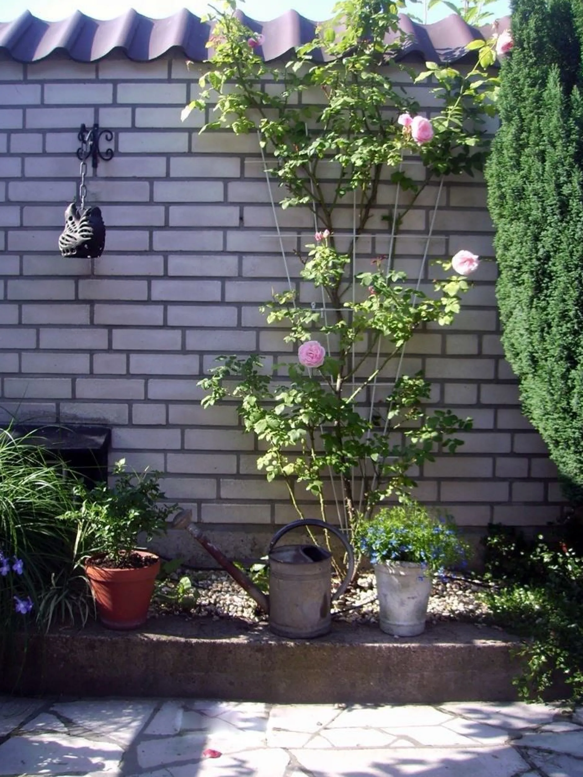 Metalen klimrek V-vorm grijs|ohgreen Sale