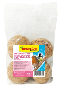 Mezenbollen per 4 stuks bessen/ fruit zonder net 360g|ohgreen Outlet