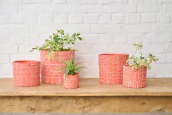 MINIPOT D8 METRIC KORAAL|ohgreen