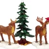 Mr and mrs moose, set of 3|ohgreen Best