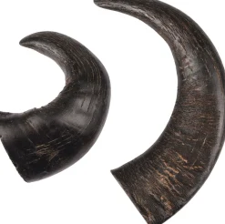 Nature snack hoorn medium 2stuks|ohgreen