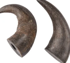 Nature snack hoorn small 2stuks|ohgreen