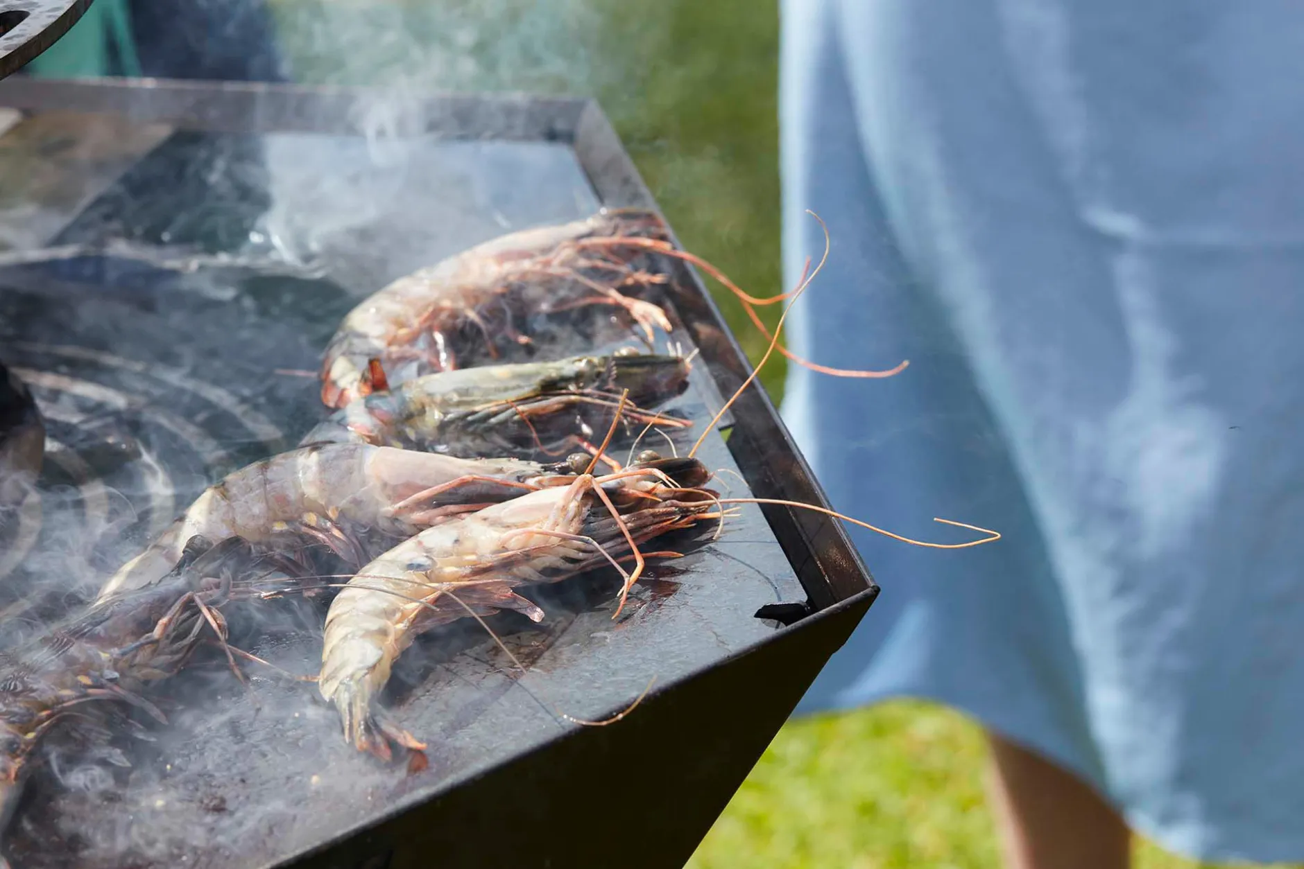 Nestor Original zwart|ohgreen Discount