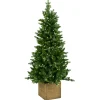 Norfolk pe table tree w/pot 137cm 200l transfo|ohgreen