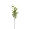 Olijf branche groen - l85cm|ohgreen Outlet