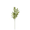 Olijf branche groen - l55cm|ohgreen Outlet