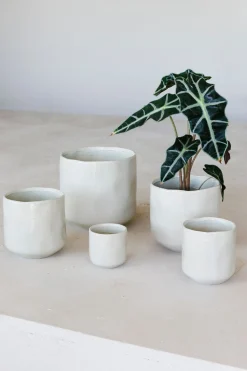 Orchidee pot glisten|ohgreen Clearance