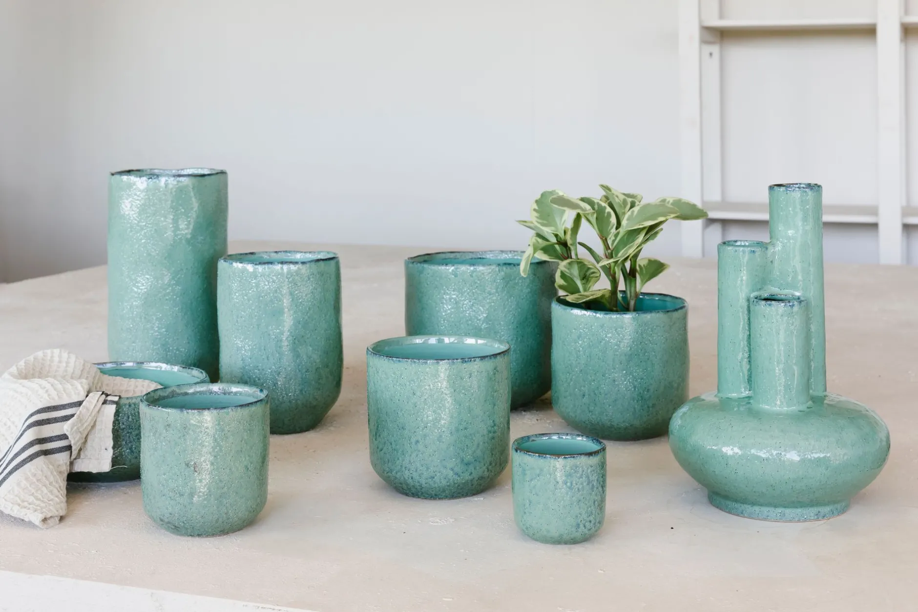 Orchidee pot glisten|ohgreen Online