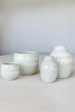 Orchidee pot saffron|ohgreen New