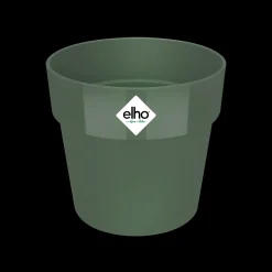 ORIGINAL ROND 18CM BLAD GROEN|ohgreen Hot