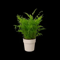 ORIGINAL ROND 16CM WARM GRIJS|ohgreen Best