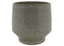 Oxygen pot reactiv|ohgreen Online