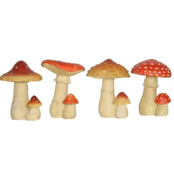 Paddenstoel|ohgreen Clearance