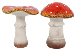 Paddenstoel|ohgreen Online