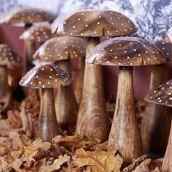 Paddenstoel herno small|ohgreen Clearance