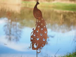 Pauw op stock|ohgreen Hot