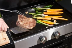 Plancha gas Original 260 Duo Edition|ohgreen New