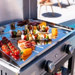 Plancha gas roestvrij staal gas 260|ohgreen Clearance