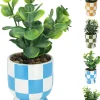 Plant in keramische pot 18cm - 4ass|ohgreen