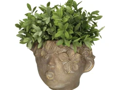 Planter gezicht beton goud|ohgreen Online