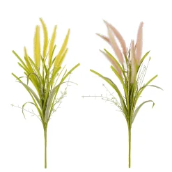 Pluimgras - l58cm|ohgreen Hot