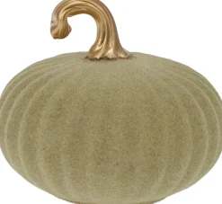 Pompoen in glas beige 12cm|ohgreen Outlet