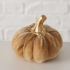 Pompoen patches|ohgreen Outlet