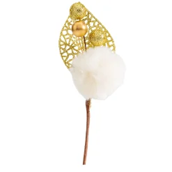 Pompoentak|ohgreen New