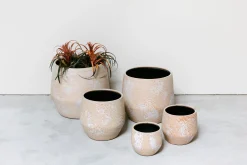 Pot mist|ohgreen Outlet