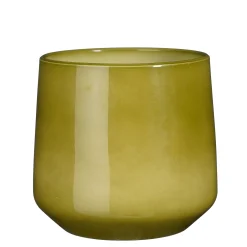 Pot amber|ohgreen Online