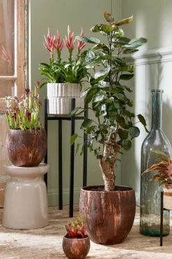 Pot apiro|ohgreen Outlet