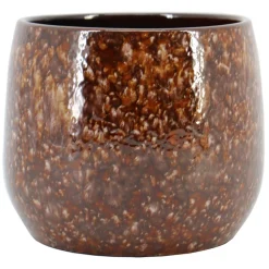 Pot bejo|ohgreen Online