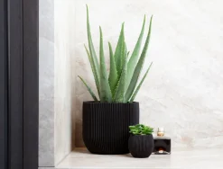 Pot bol groove 14x13|ohgreen Best