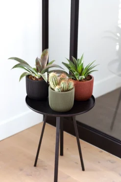 Pot bol groove 14x13|ohgreen Best