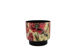 Pot camelia poppy d15 h14|ohgreen Best