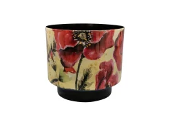 Pot camelia poppy d22 h20|ohgreen Discount