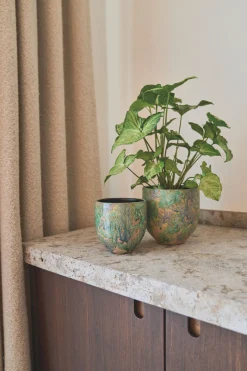 POT D44 ARRAY GRASGR|ohgreen Sale