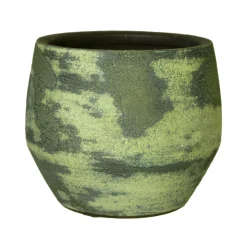 Pot d31 mist|ohgreen New