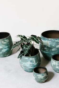 Pot d31 mist|ohgreen New