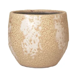 Pot d31 mist|ohgreen Outlet