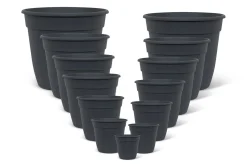 Pot essential 22cm|ohgreen Sale