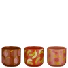 Pot fruit oranje roze paars 3 assorti display - h10,5xd12cm|ohgreen Discount